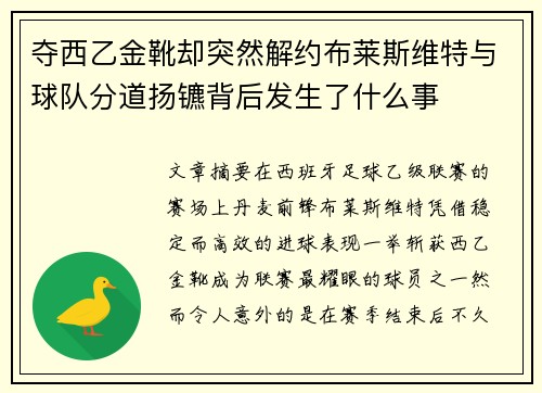 夺西乙金靴却突然解约布莱斯维特与球队分道扬镳背后发生了什么事