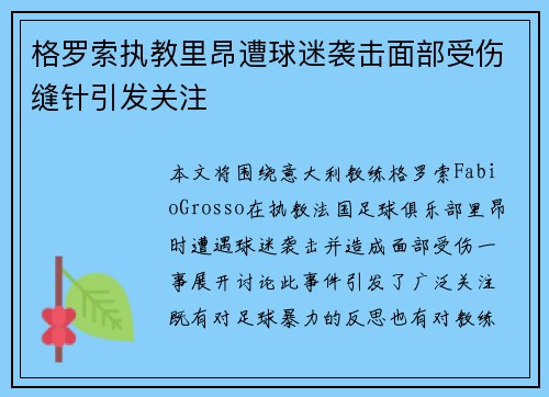 格罗索执教里昂遭球迷袭击面部受伤缝针引发关注 格罗索执教里昂遭球迷袭击面部受伤缝针引发关注